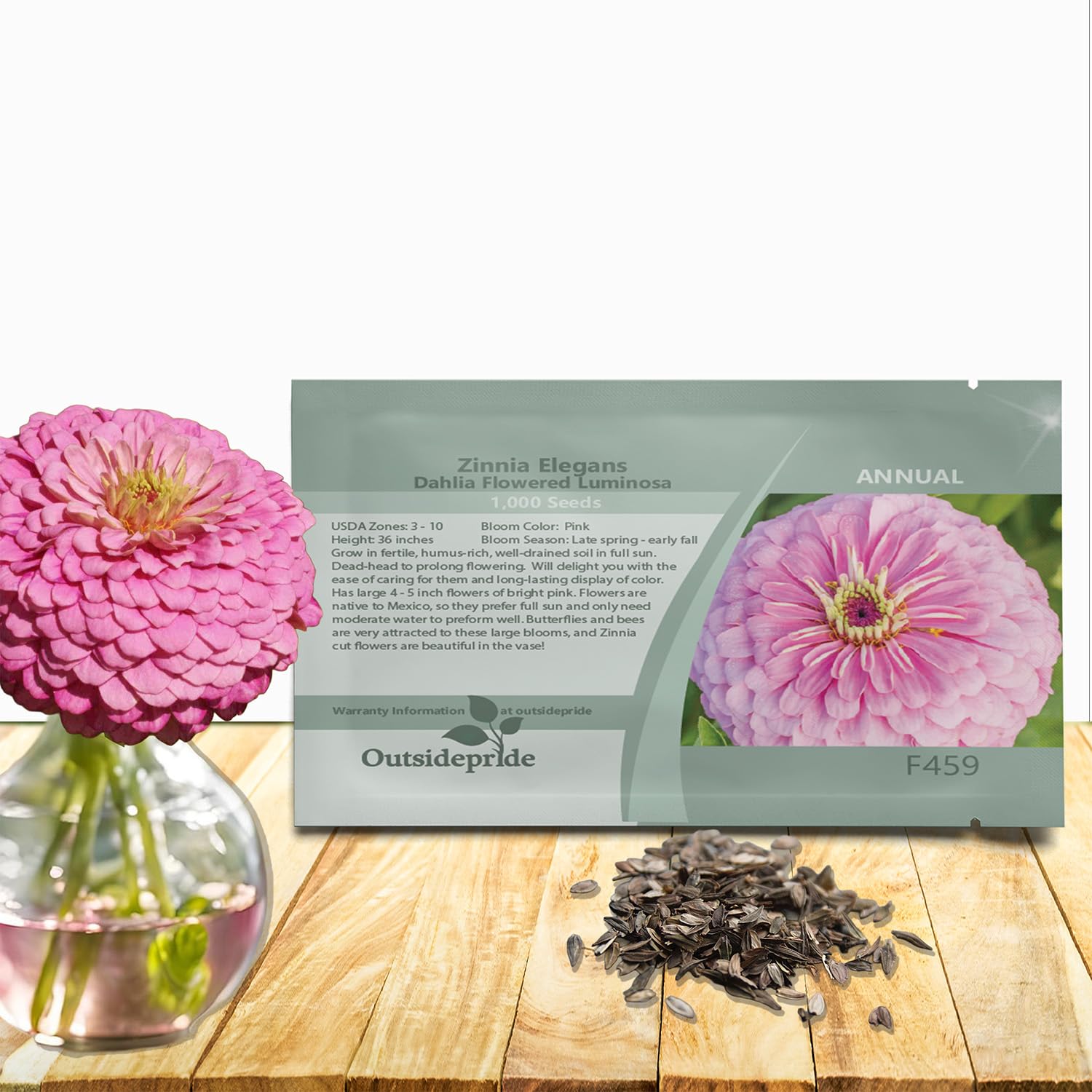 Amazon.com : Outsidepride Luminosa Zinnia Seeds - 1000 Seeds